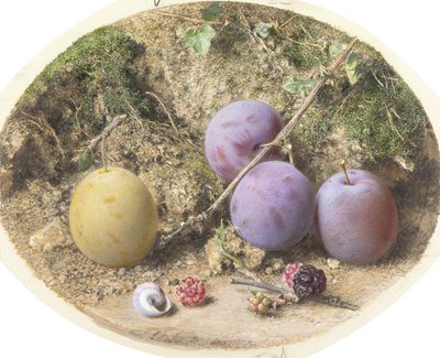 Plums and Mulberries by William Henry Hunt